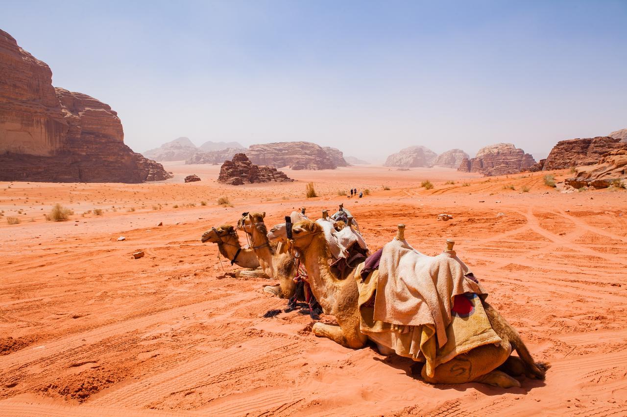 Arabian Nights Hotel Wadi Rum Exterior photo